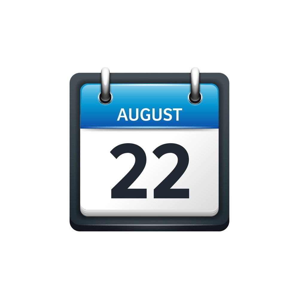 Sâmbătă, 22 august – zi lucrătoare pentru bugetari